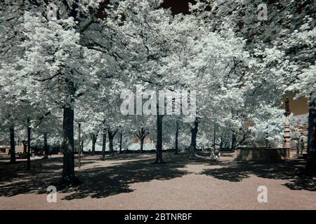 immagine a infrarossi - collina di lindenhof - città di zurigo - svizzera Foto Stock