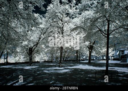 immagine a infrarossi - collina di lindenhof - città di zurigo - svizzera Foto Stock