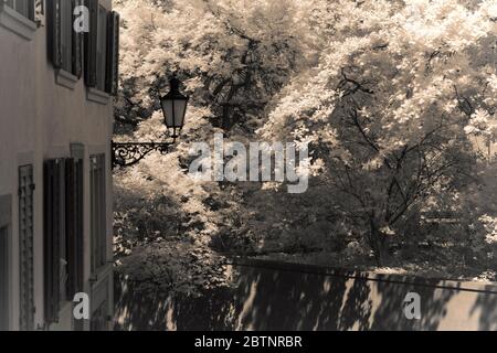 immagine a infrarossi - collina di lindenhof - città di zurigo - svizzera Foto Stock