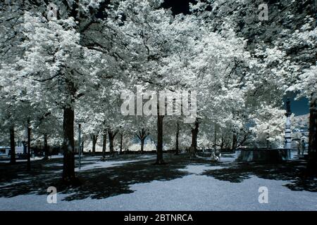 immagine a infrarossi - collina di lindenhof - città di zurigo - svizzera Foto Stock
