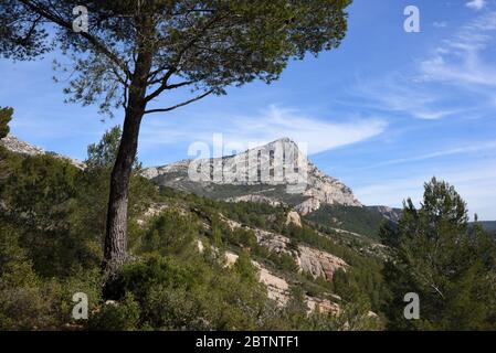 Vista del Monte Sainte-Victoire incorniciato da un pino, immortalato da Paul Cézanne, vicino Aix-en-Provence Provenza Provenza Francia Foto Stock