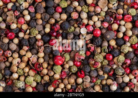 Pepppercorn medley a colori a sfondo pieno Foto Stock