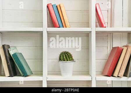Ripiani in legno bianco con libri antichi. Libreria in legno. Foto Stock