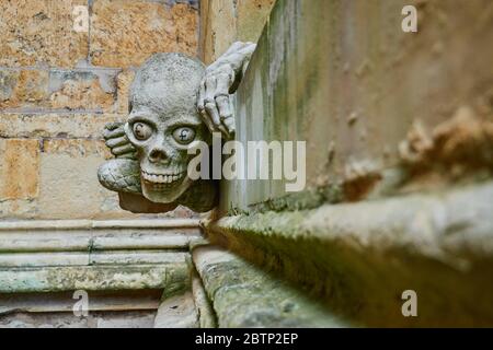 Lincoln Cattedrale Skull Gargoyle o grottesco. Un serpente con una mano umana e un cranio presenta una moneta d'oro tra i denti e i segni di ‘£ negli occhi Foto Stock