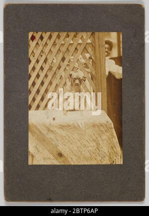 Stampa fotografica di un cane. Una fotografia in bianco e nero di un cane e di una donna non identificata. Il cane è al centro della fotografia. Una donna è in piedi sullo sfondo dietro un muro a rete. Nell'angolo superiore sinistro della fotografia è presente un punto rosso. La fotografia viene montata su carta nera. Foto Stock