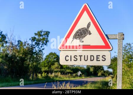 Francia, Indre, Berry, Parco Naturale Regionale del Brenne, Michel en Brenne, cartello stradale pericolo passaggio della tartaruga europea (Emys orbicularis), protezione Foto Stock