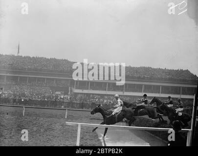 Sensazionale Grand National . Quattro dei campi che prendono il salto d'acqua davanti al Grand Stand . 30 marzo 1928 Foto Stock