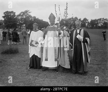 I ventuno capitani . Nuovo albero piantando cerimonont a Harpenden . Il Vescovo di San Albans . 23 giugno 1928 Foto Stock