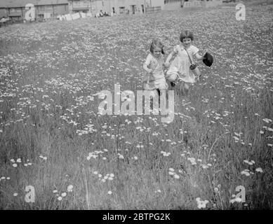 Bambini che raccolgono margherite . 1939 Foto Stock