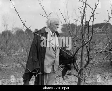 Lloyd George . 1933 30s, 30s, 1930s, 30s, 30ties, 19theed trents Foto Stock