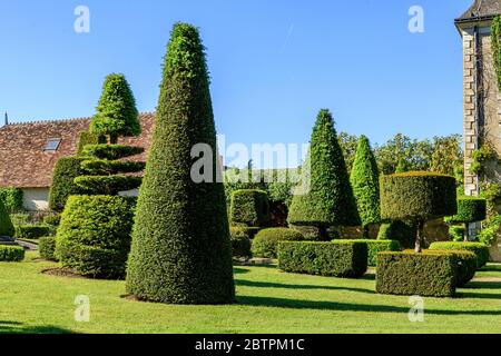 Francia, Indre, Parco Naturale Regionale della Brenne, Azay le Ferron, il castello, topari nel giardino // Francia, Indre (36), Parc naturel régional de la Br Foto Stock