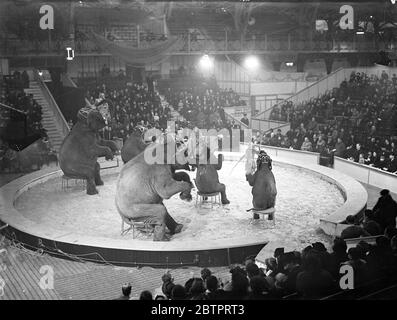 Circus torna in città. Una vista generale dell'affollata circo mentre l'elefante ha dato il loro atto nella prima esecuzione del Circo di Natale alla Royal Agricultural Hall, Islington, Londra. 20 dicembre 1937 Foto Stock