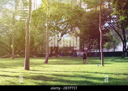 Makati, Manila, Filippine - 26 maggio 2020: Quasi vuoto Ayala Triangle Park dove un ragazzo che cammina cane, durante il Coronavirus covid quarantena ECQ. Soleggiata Foto Stock