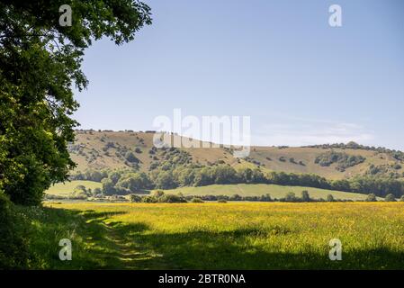 Ditchling Regno Unito 21 maggio 2020: Dentro e intorno al villaggio di Ditchling Foto Stock