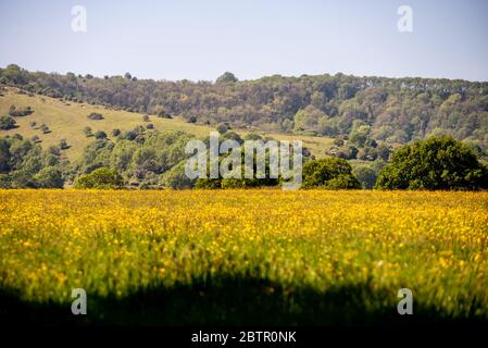 Ditchling Regno Unito 21 maggio 2020: Dentro e intorno al villaggio di Ditchling Foto Stock