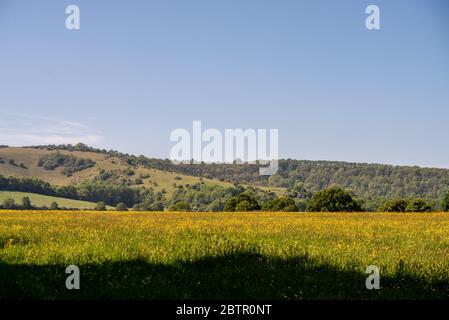 Ditchling Regno Unito 21 maggio 2020: Dentro e intorno al villaggio di Ditchling Foto Stock