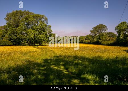 Ditchling Regno Unito 21 maggio 2020: Dentro e intorno al villaggio di Ditchling Foto Stock