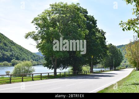 Waterfront Road in Hatzenport an der Mosel Foto Stock