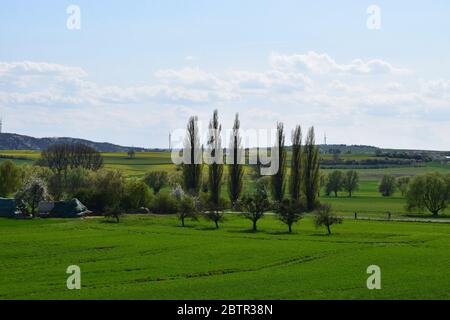 Eifel paesaggio in primavera Foto Stock