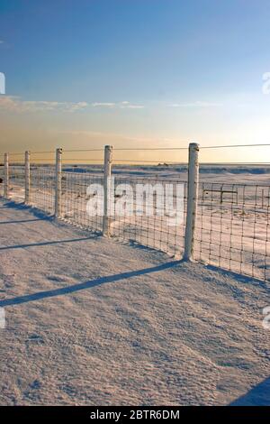 Scene di neve Foto Stock