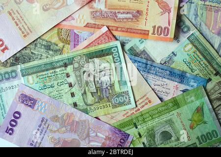 Rupia dello Sri Lanka, Sri Lanka-Rupie, LKR, Sri Lanka, Asia Foto Stock