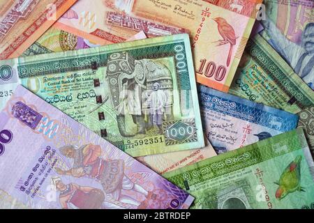 Rupia dello Sri Lanka, Sri Lanka-Rupie, LKR, Sri Lanka, Asia Foto Stock