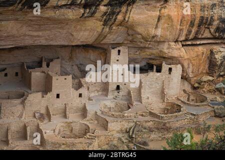 CO00236-00....COLORADO - Cliff Palace Alcove Village costruito dal Ancestrale Puebloans oltre 700 anni fa con numerose torri e kivas, ora parte di M. Foto Stock