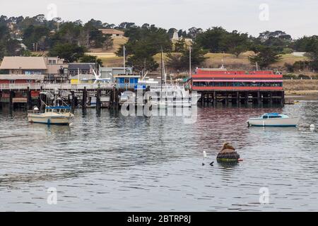 Monterey, California, USA - 09 giugno 2015: Vista del molo, delle barche e dei ristoranti al Municipal Wharf 2. Costa dell'Oceano Pacifico. Foto Stock