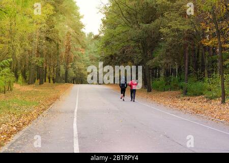 Corridori in protezione in autunno foresta di conifere. Coppia è in esecuzione tra molti alberi. Concetto di sport e vita attiva. Stile di vita sano. Giorno di sole. Foto Stock