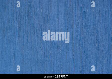 La struttura in legno blu con motivi naturali. Colore Blu classico dell'anno 2020. Foto Stock