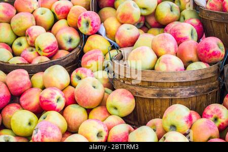 primo piano di telaio pieno di mele rosse e verdi mature in secchi di legno presso un mercato agricolo locale Foto Stock