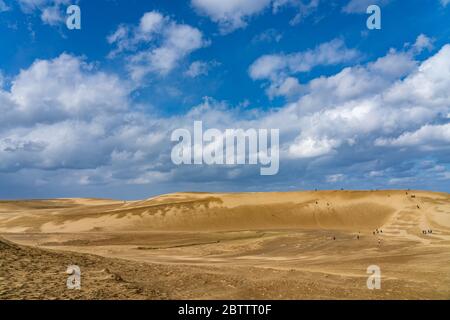 Dune di sabbia di Tottori (Tottori Sakyu). La più grande duna di sabbia del Giappone, una parte del Parco Nazionale Sanin Kaigan nella Prefettura di Tottori, Giappone Foto Stock