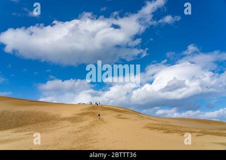 Dune di sabbia di Tottori (Tottori Sakyu). La più grande duna di sabbia del Giappone, una parte del Parco Nazionale Sanin Kaigan nella Prefettura di Tottori, Giappone Foto Stock