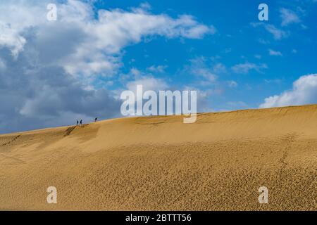 Dune di sabbia di Tottori (Tottori Sakyu). La più grande duna di sabbia del Giappone, una parte del Parco Nazionale Sanin Kaigan nella Prefettura di Tottori, Giappone Foto Stock