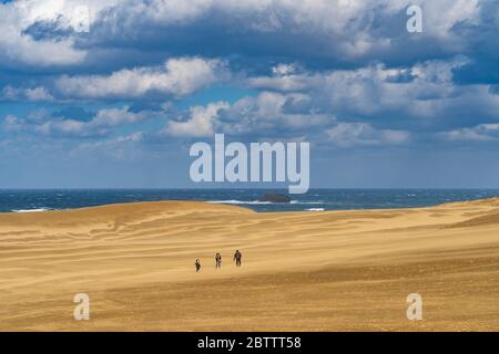 Dune di sabbia di Tottori (Tottori Sakyu). La più grande duna di sabbia del Giappone, una parte del Parco Nazionale Sanin Kaigan nella Prefettura di Tottori, Giappone Foto Stock