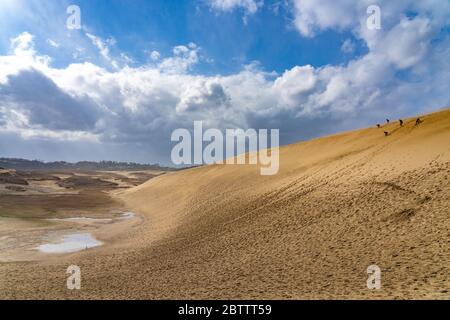 Dune di sabbia di Tottori (Tottori Sakyu). La più grande duna di sabbia del Giappone, una parte del Parco Nazionale Sanin Kaigan nella Prefettura di Tottori, Giappone Foto Stock