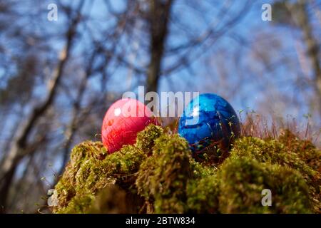 Uova di Pasqua su una bella superficie mussosa Foto Stock