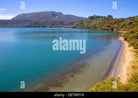 Spiaggia di acqua calda sul lago Tarawera, con il monte Tarawera che sale in avanti Foto Stock