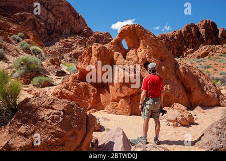 NV00121-00....NEVADA - piccola finestra in un affioramento in arenaria situata lungo il percorso naturale delle Arches nella Valle del fuoco state Park. Foto Stock