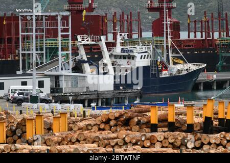 LYTTLETON, NUOVA ZELANDA, 21 NOVEMBRE 2019: Tronchi Pinus radiata in attesa di esportazione linea il molo presso il porto di Lyttleton. Foto Stock