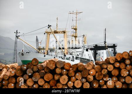 LYTTLETON, NUOVA ZELANDA, 21 NOVEMBRE 2019: Tronchi Pinus radiata in attesa di esportazione linea il molo presso il porto di Lyttleton. Foto Stock