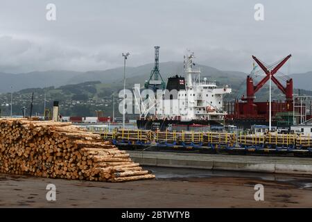 LYTTLETON, NUOVA ZELANDA, 21 NOVEMBRE 2019: Tronchi Pinus radiata in attesa di esportazione linea il molo presso il porto di Lyttleton. Foto Stock