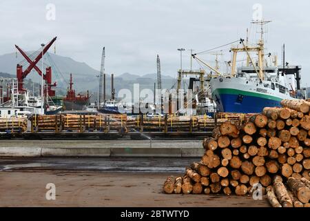 LYTTLETON, NUOVA ZELANDA, 21 NOVEMBRE 2019: Tronchi Pinus radiata in attesa di esportazione linea il molo presso il porto di Lyttleton. Foto Stock