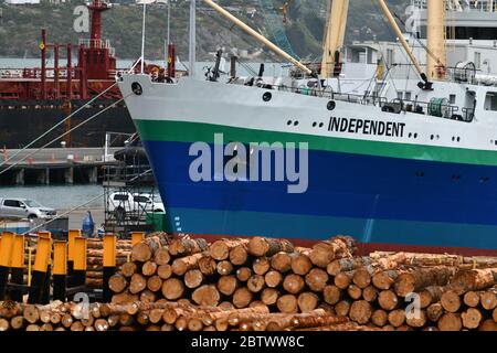 LYTTLETON, NUOVA ZELANDA, 21 NOVEMBRE 2019: Tronchi Pinus radiata in attesa di esportazione linea il molo presso il porto di Lyttleton. Foto Stock