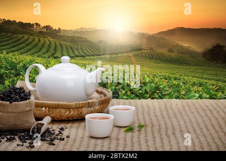 Tazza calda di tè con teiera, foglie di tè verde ed erbe essiccate sul tappeto di bambù al mattino in piantagioni di sfondo con spazio vuoto, prodotto organico Foto Stock