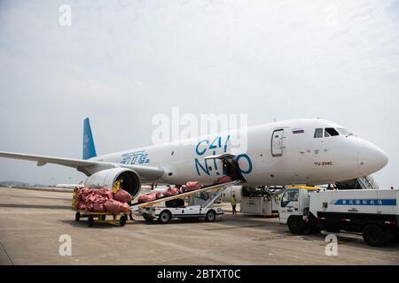 (200528) -- CHANGSHA, 28 maggio 2020 (Xinhua) -- un aereo che trasporta pacchi dal commercio elettronico transfrontaliero alla Russia è visto all'aeroporto internazionale di Changsha Huanghua a Changsha, provincia di Hunan della Cina centrale, 28 maggio 2020. Un aereo che trasportava quasi 40,000 pacchi dalle imprese transfrontaliere di e-commerce partì da Changsha a Mosca, Russia, giovedì. Questo è stato il primo volo della normale rotta aerea per il trasporto merci sul commercio elettronico transfrontaliero verso la Russia, il che significa il funzionamento di tale rotta in Hunan. Operato tre volte alla settimana, il percorso servirà come collegamento diretto BE Foto Stock