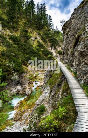 Sentiero escursionistico sotto il fiume Wild Mountain a Ötschergräben in Austria Foto Stock