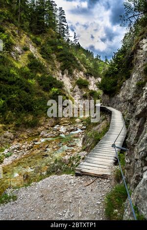 Sentiero escursionistico sotto il fiume Wild Mountain a Ötschergräben in Austria Foto Stock