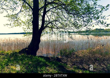 Passeggiate sul lago in una giornata di sole Foto Stock