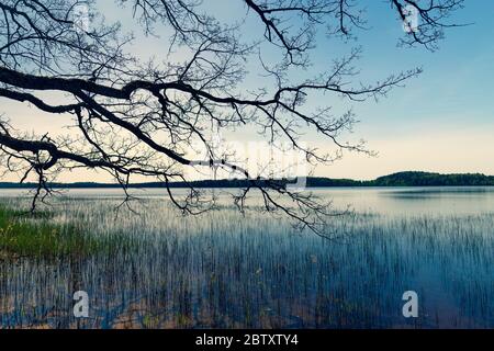 Passeggiate sul lago in una giornata di sole Foto Stock